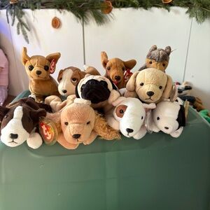 Ty Stuffed dogs 10 lot